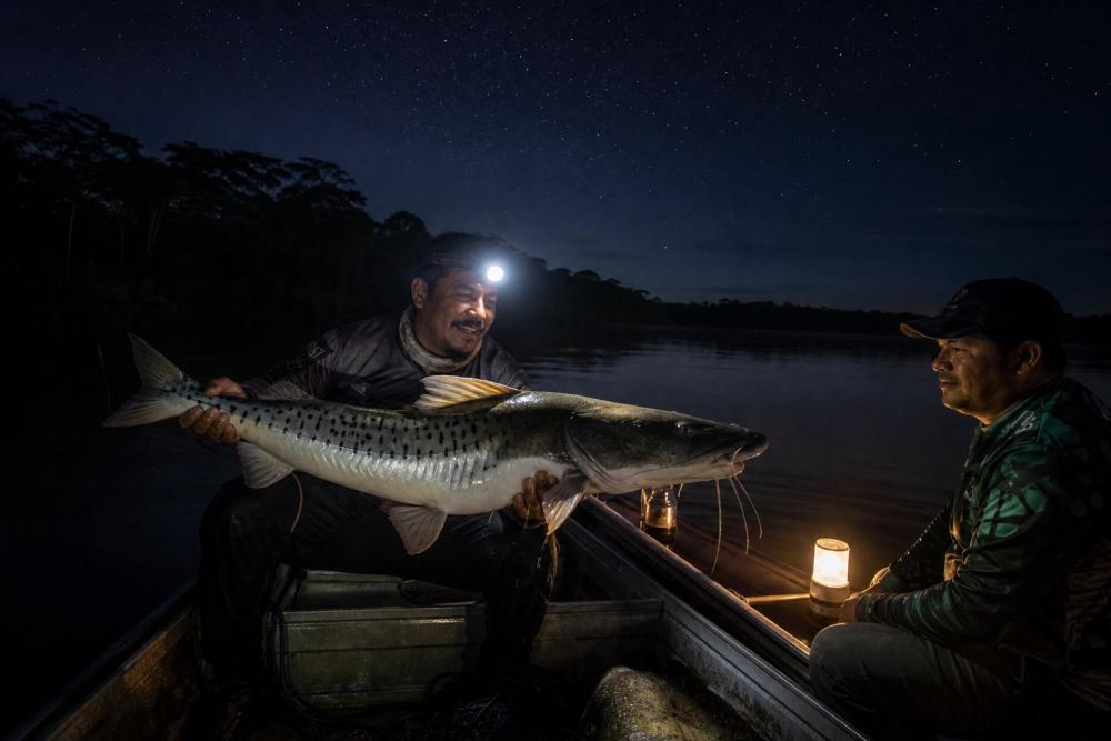 Pesca Noturna na Amazônia: Guia Completo e Dicas