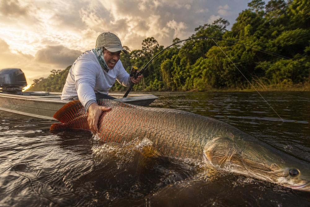 Pesca de Pirarucu: Onde Pescar, Técnicas e Dicas