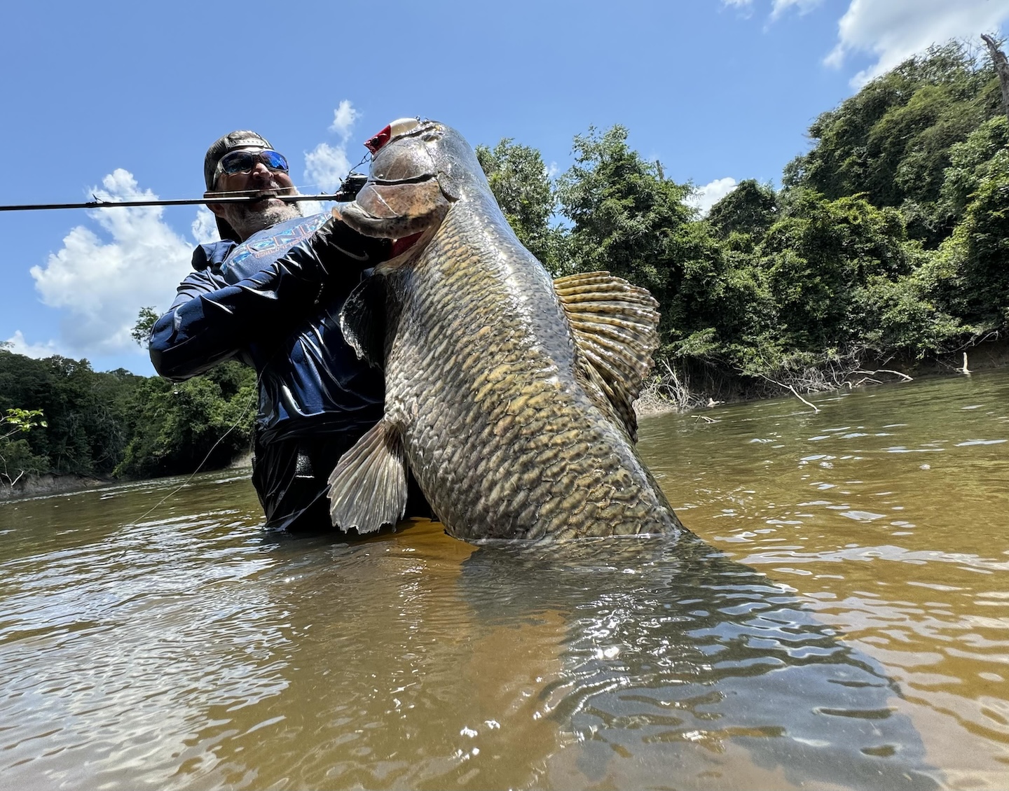 Arapari - Econômico