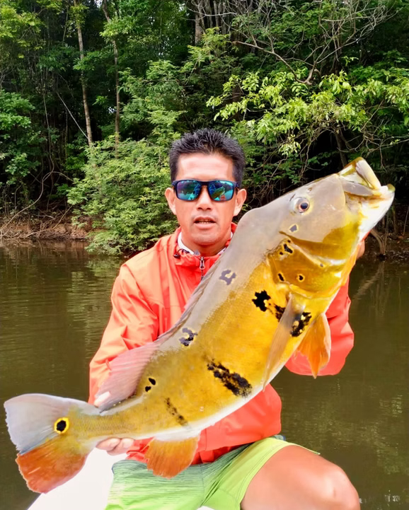 Aracu Jungle Lodge
