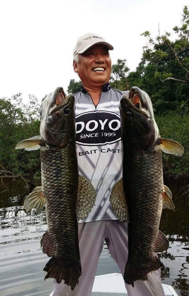 Arapari - Econômico