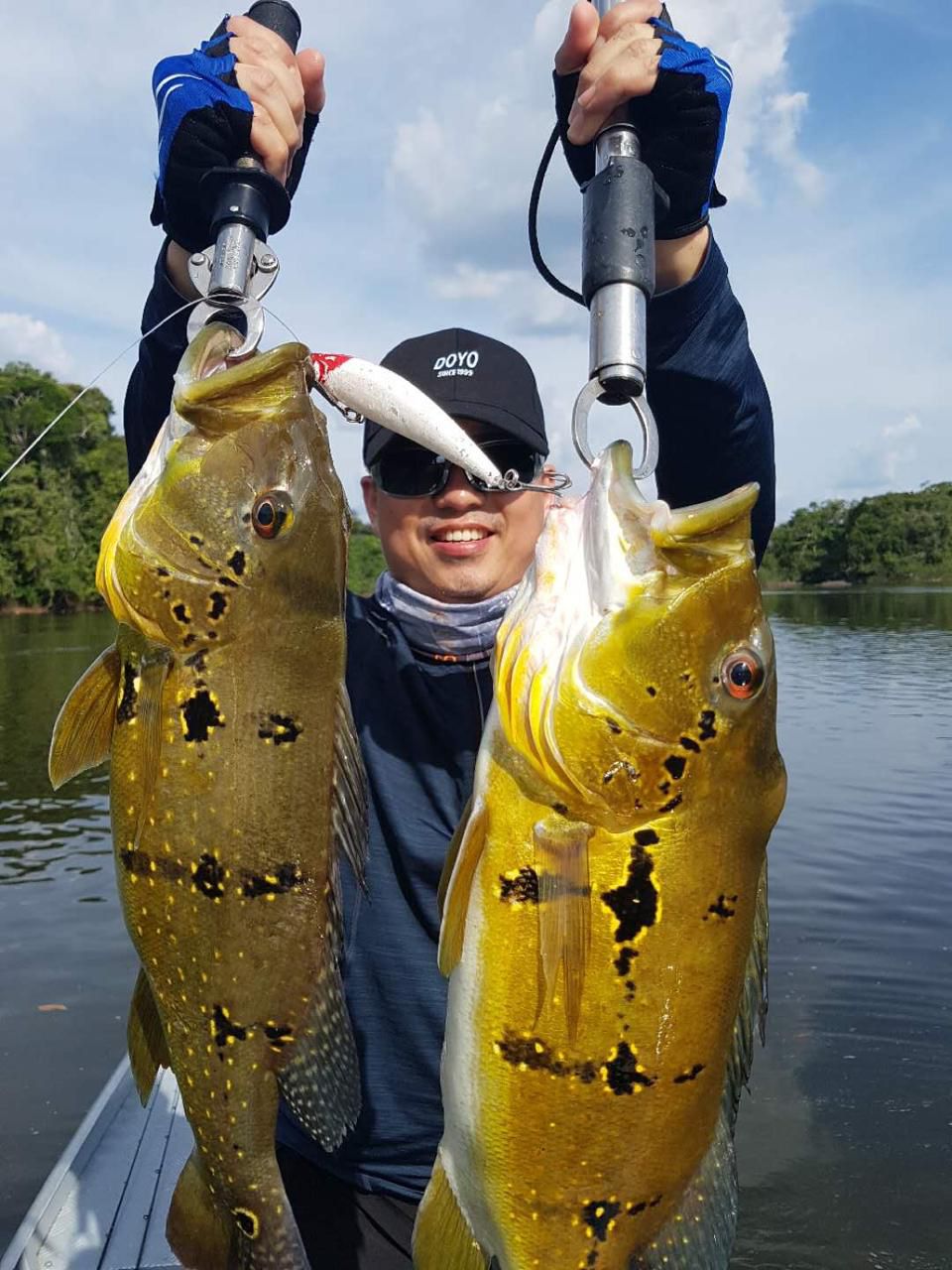 Arapari - Econômico