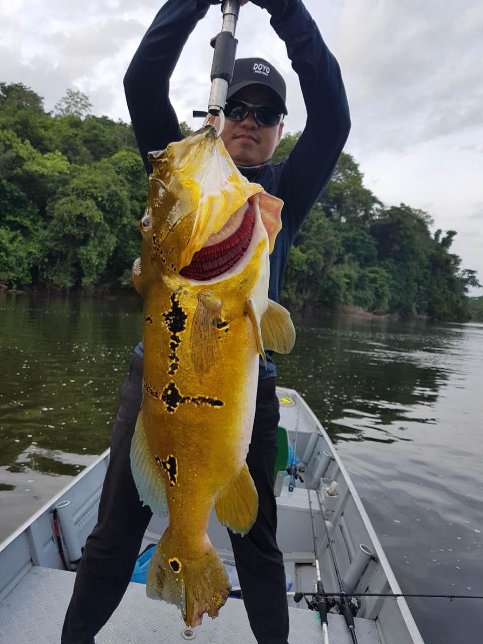 Arapari - Econômico