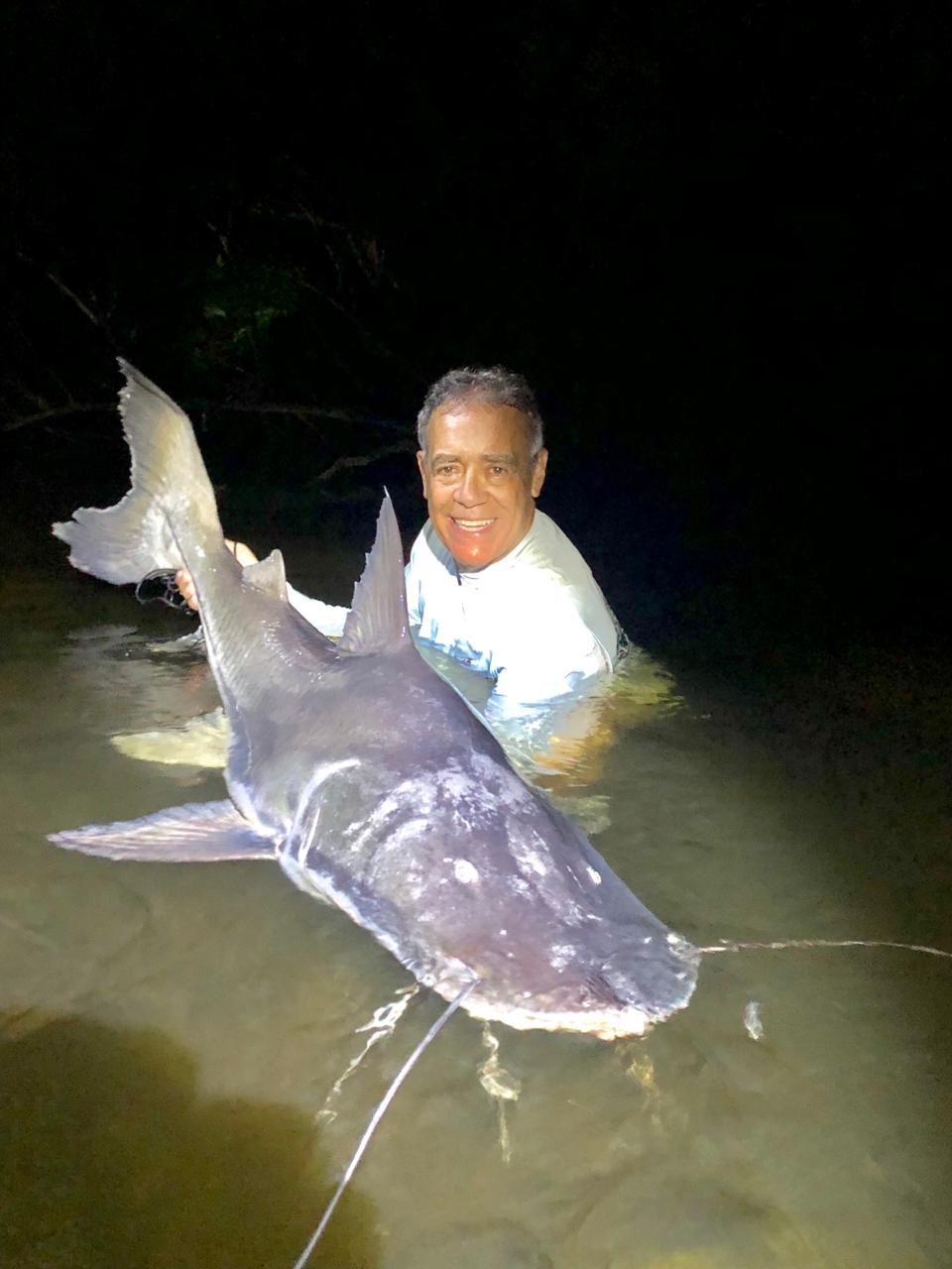 Arapari - Econômico