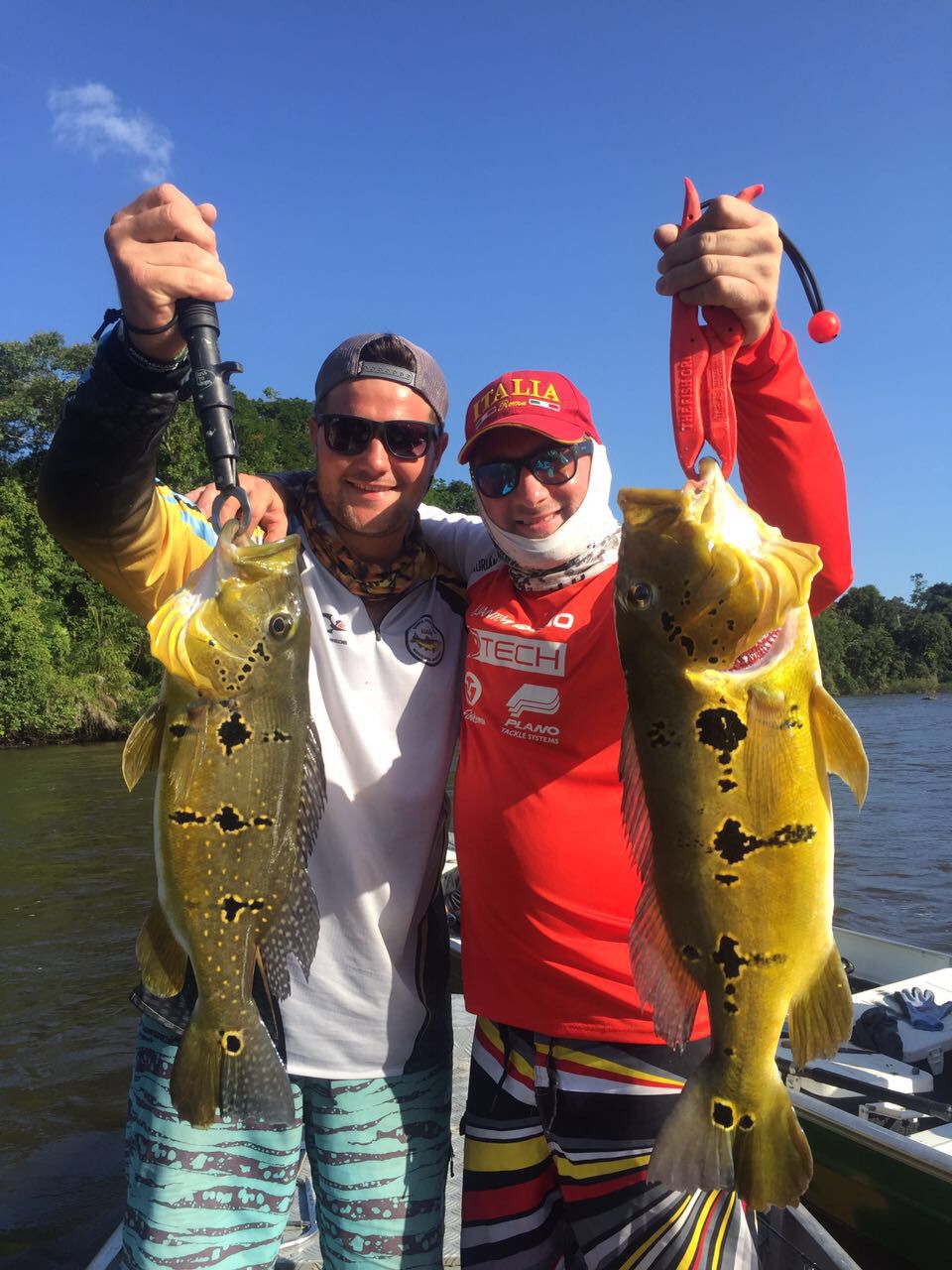 Arapari - Econômico