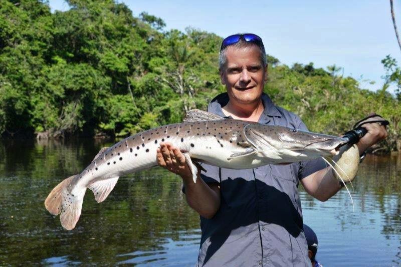 Arapari - Econômico