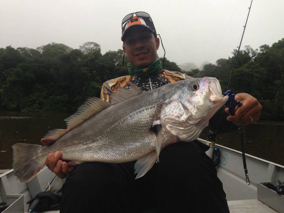 Arapari - Econômico