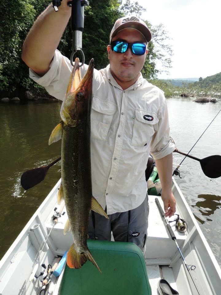 Arapari - Econômico