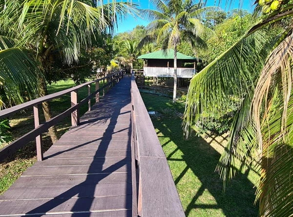 Ilha de Caras 5