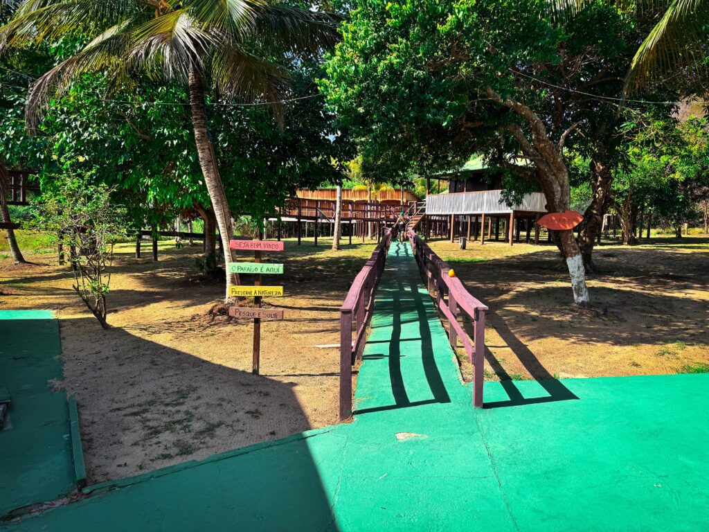 Ilha de Caras 5