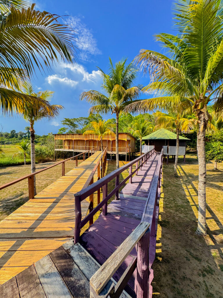 Ilha de Caras 5
