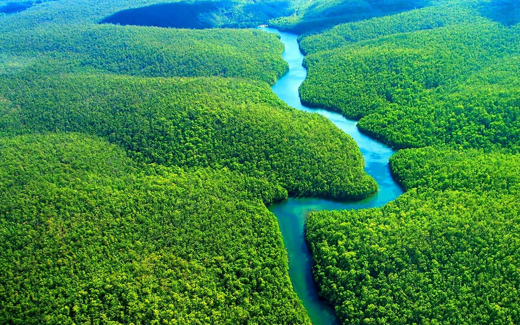 Amazônia