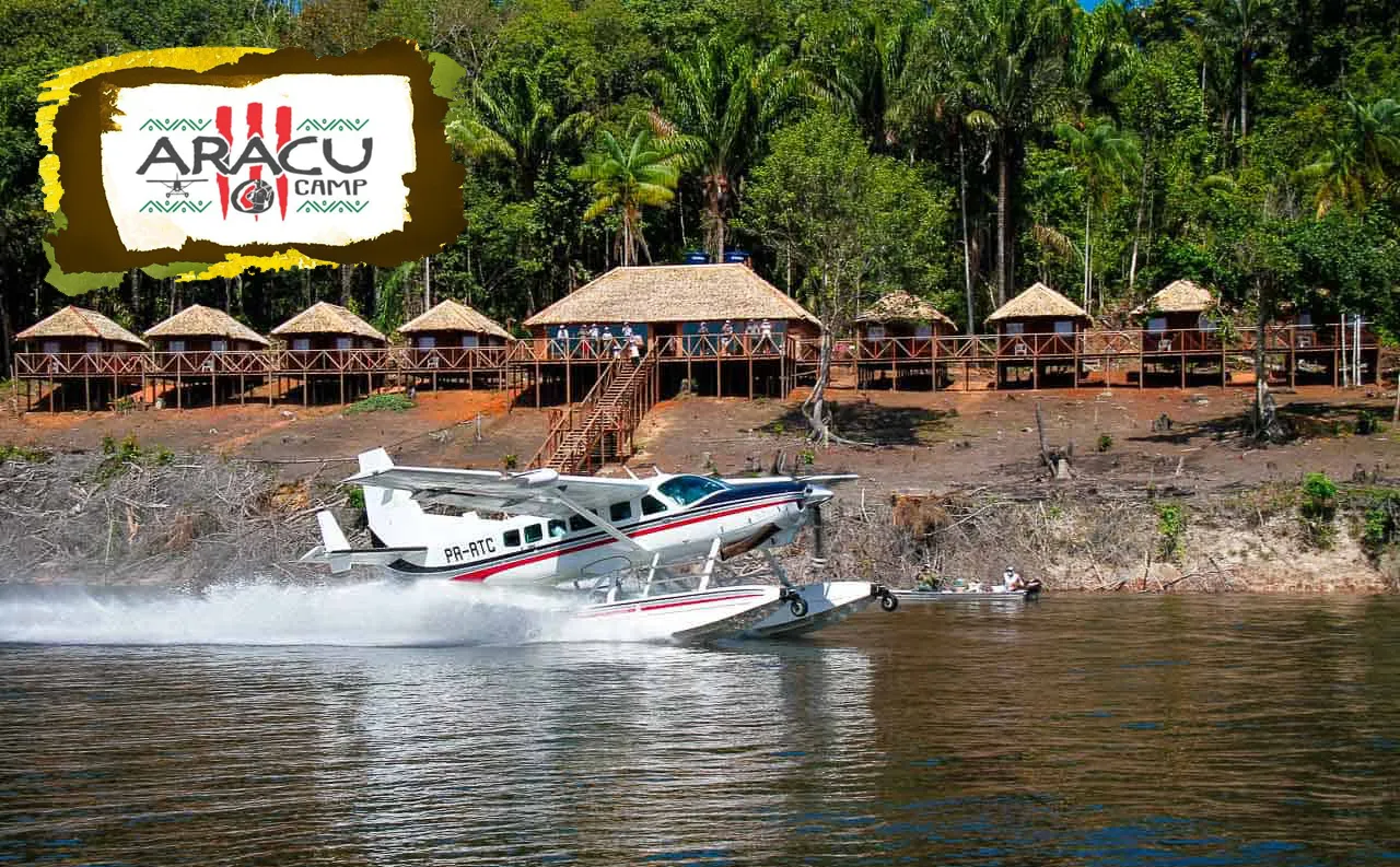 Banner Aracu Camp