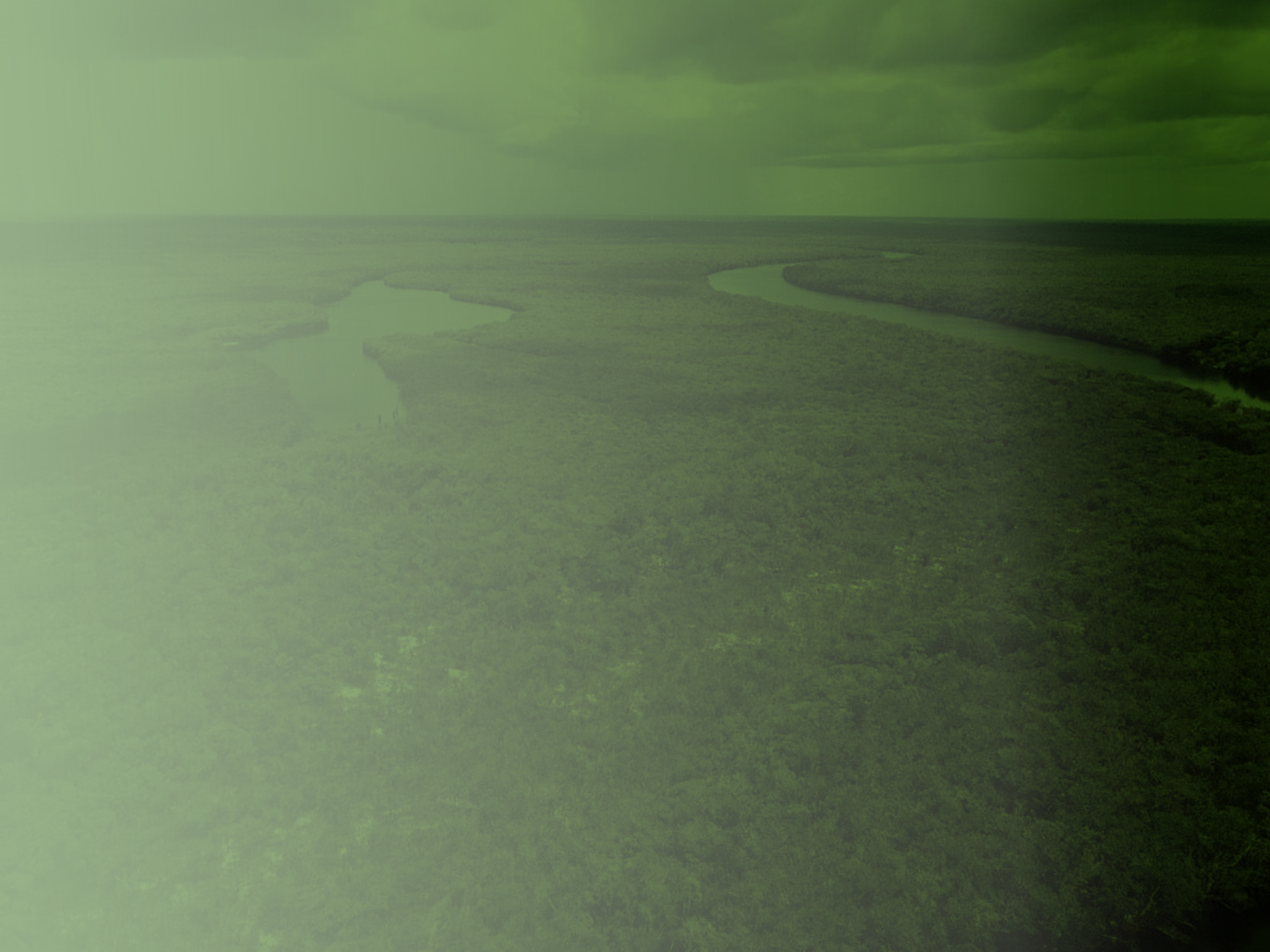 Banner Home